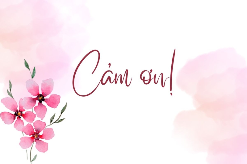 1001 Cách nói lời cảm ơn hay và chân thành nhất trong cuộc sống 11 Lời cảm ơn tình yêu